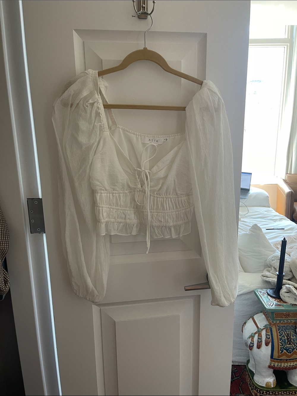 Astr Sheer Long-Sleeve Tie-Front Crop Top in White